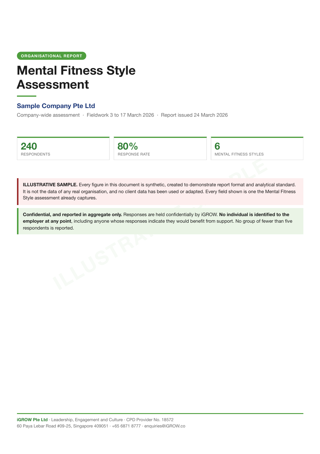 Sample Mental Fitness Style organisational report cover